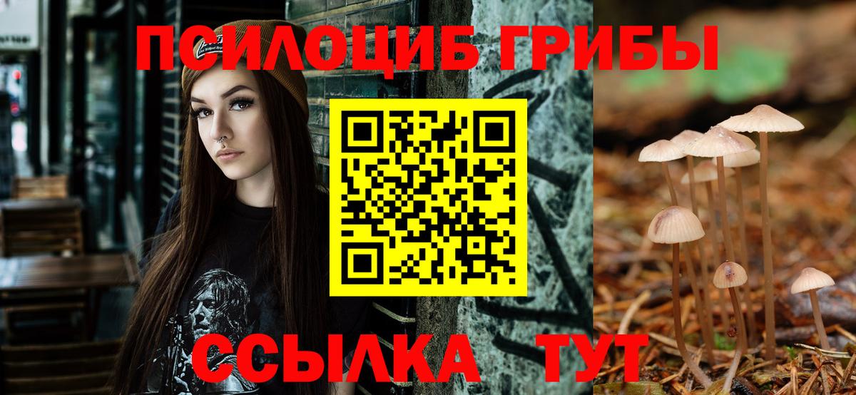 Галлюциногенные грибы Magic Shrooms  Псилоцибиновые грибы мухоморы  Ессентуки  Вход с VPN 